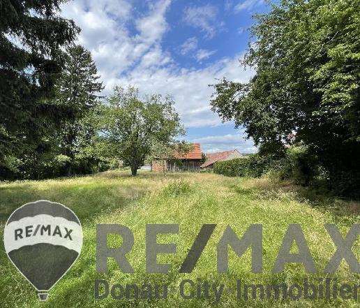 01 Baugrundstück Ollern