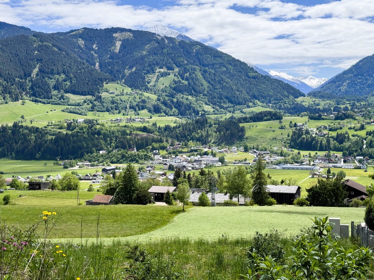 image00031