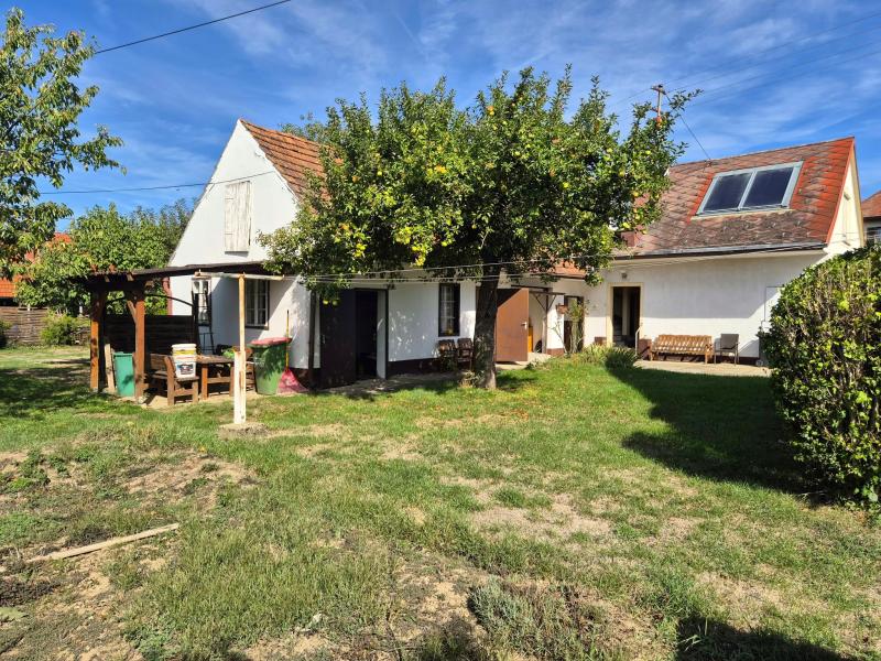 Einfamilienhaus_connexa_1.jpg