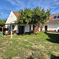 Einfamilienhaus_connexa_1.jpg