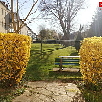 Blick von Hauseingang in Gemeinschaftsgarten