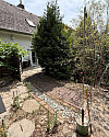 IMG-20260717-WA0058