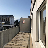 totibi sast 19401 IMG 8249.jpg