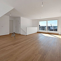 Schumanngasse | Wohnraum