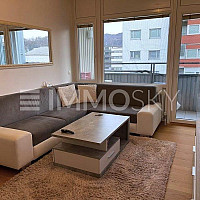 Wohnzimmer (Möbliert)