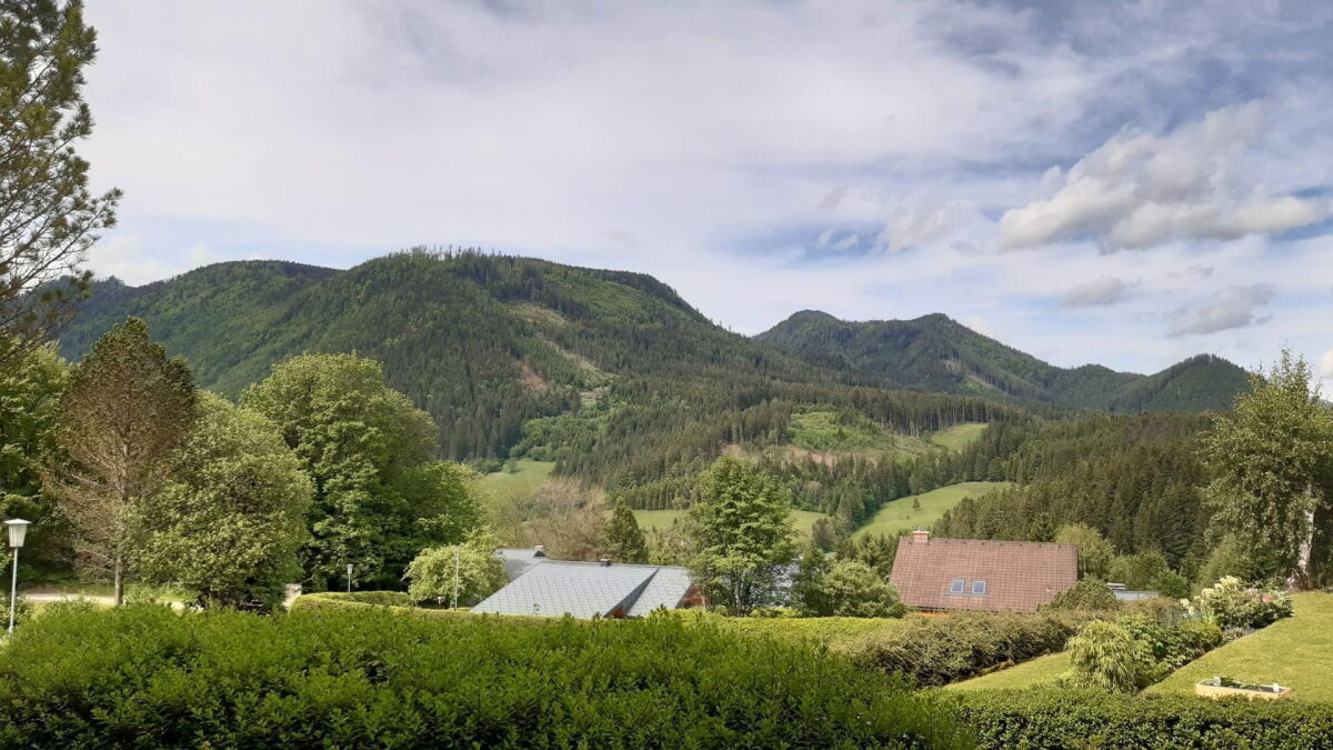 Ausblick vom Garten