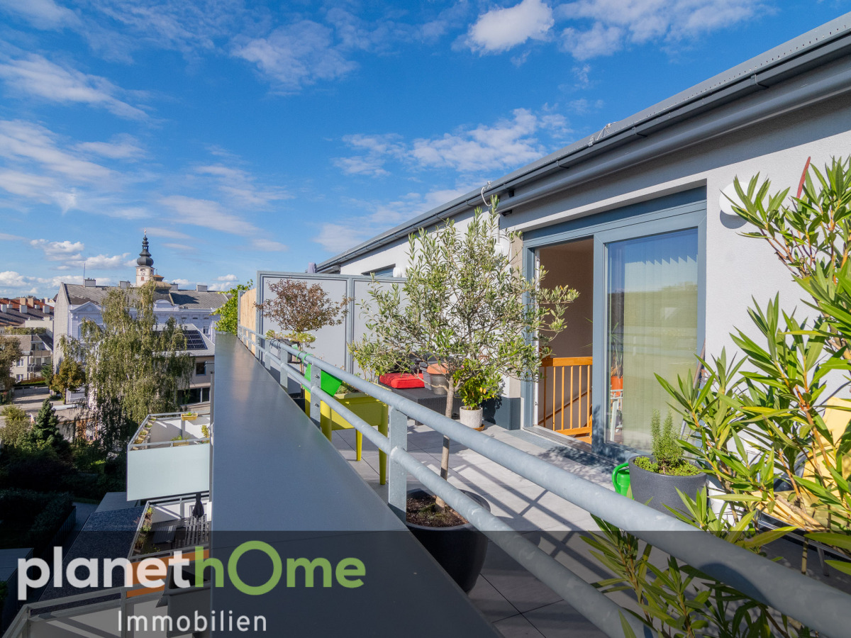 Westterrasse mit Blick auf Dom