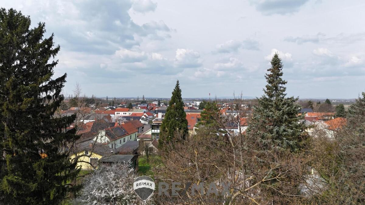 01 Baugrund Königstetten Aussicht