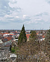 01 Baugrund Königstetten Aussicht