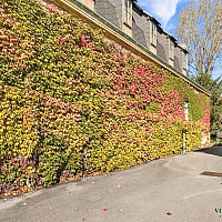 Aussenansicht Eingang