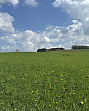 IMG_3167.JPEG