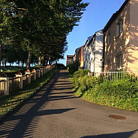 totibi saba 26901 Top6 Bild11.jpg