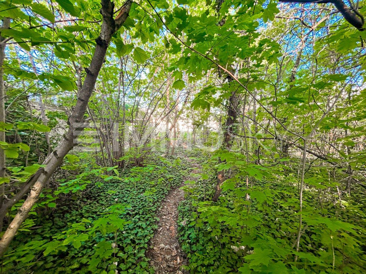 Lassen Sie Ihre Ideen freien Lauf