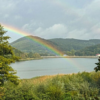 Blick auf den Wienerwaldsee