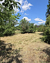 20260703_123211_resized