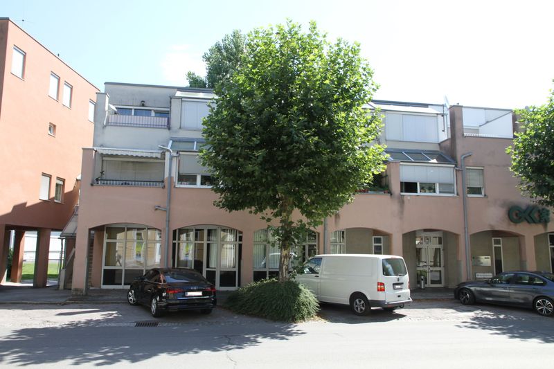 inbiau scsc 117609 (1).JPG