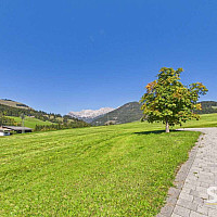 Kastanienbaum
