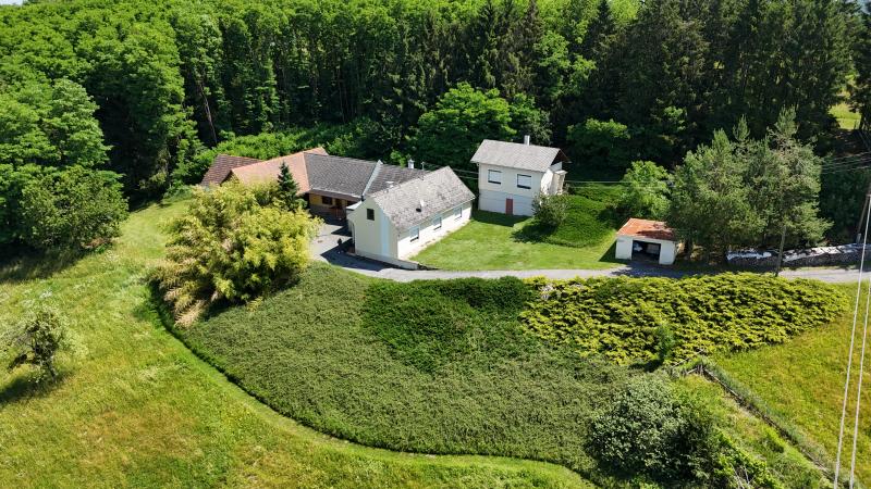 Einfamilienhaus_connexa_26.jpg