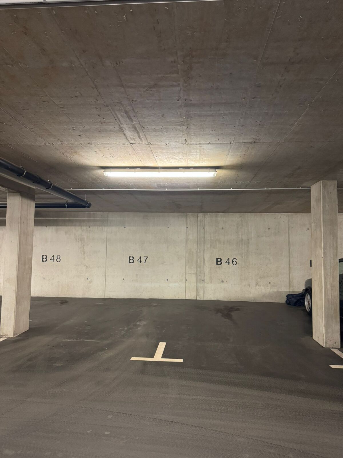 WhatsApp Image 2026-03-06 at 09.30.43.jpeg