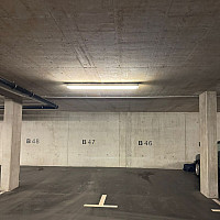 WhatsApp Image 2026-03-06 at 09.30.43.jpeg