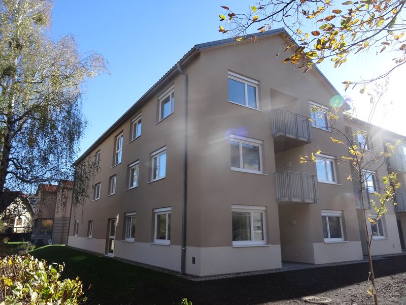 inbiau anru 404701 mave 404701 DSC09853.JPG