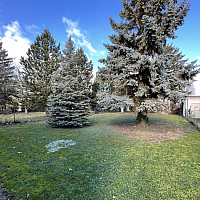 image00003