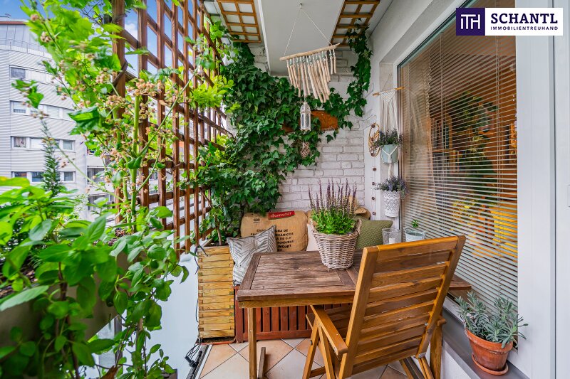 Loggia 2