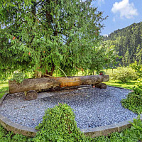 Bauernhof, Landwirtschaft im Pongau