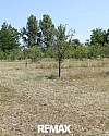 2011 Sierndorf
