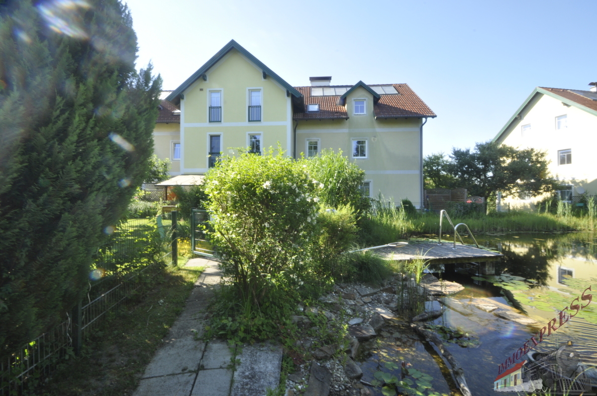 Bild1