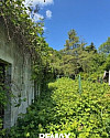 Garten.