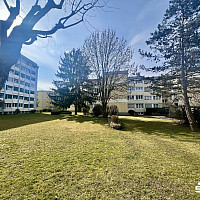 Gartenanlage