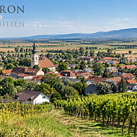 Königstetten vom Wienerwald aus