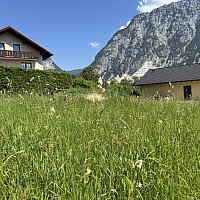 IMG_2097