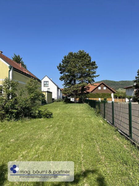 Grundstück (Blick nach West)