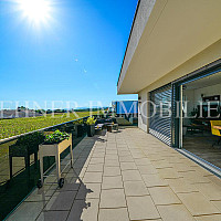 Lehner Immobilien Bild 1