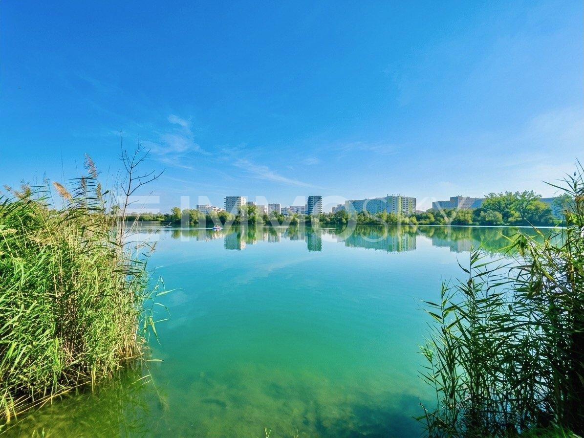 Finden Sie Abkühlung im Badeteich Hirschstetten