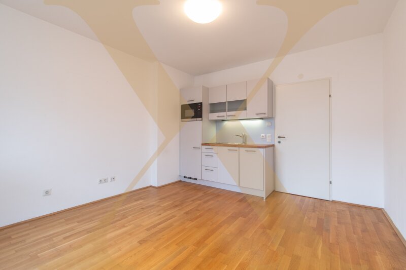 Beispielfoto Wohn-/Ess/-Schlafbereich I