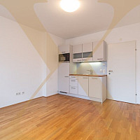 Beispielfoto Wohn-/Ess/-Schlafbereich I