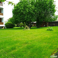 Gemeinschaftsgarten mit Grillstation