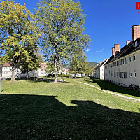Grünfläche Lewaldstraße