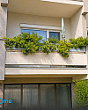 Wohnung mit Loggia