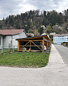 IMG_2884