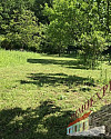 IMG_1559