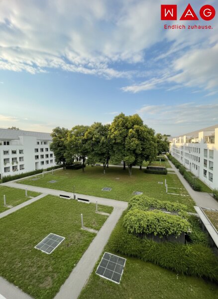Ausblick / Außenansicht