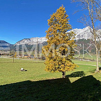 ABSOLUT LEISTBARER BAUGRUND IM ENNSTAL