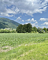 IMG_3430.jpeg