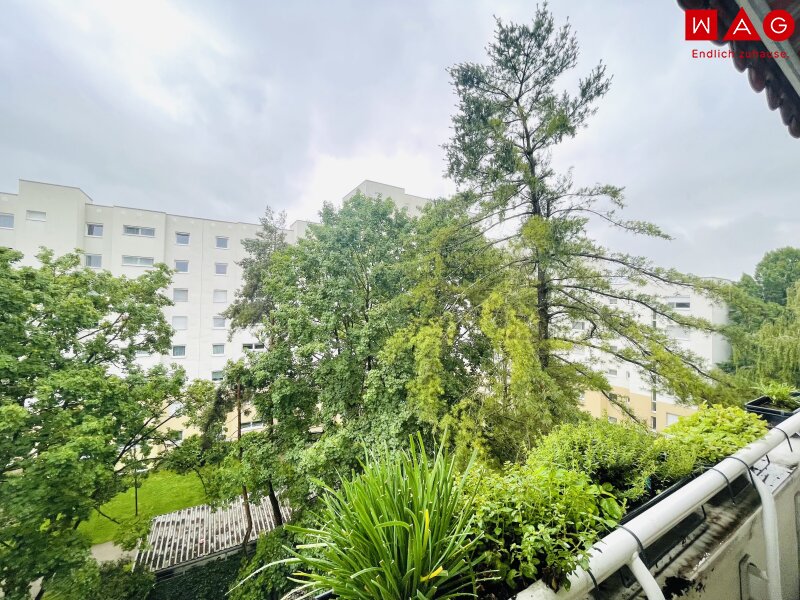 Aussicht von der Loggia