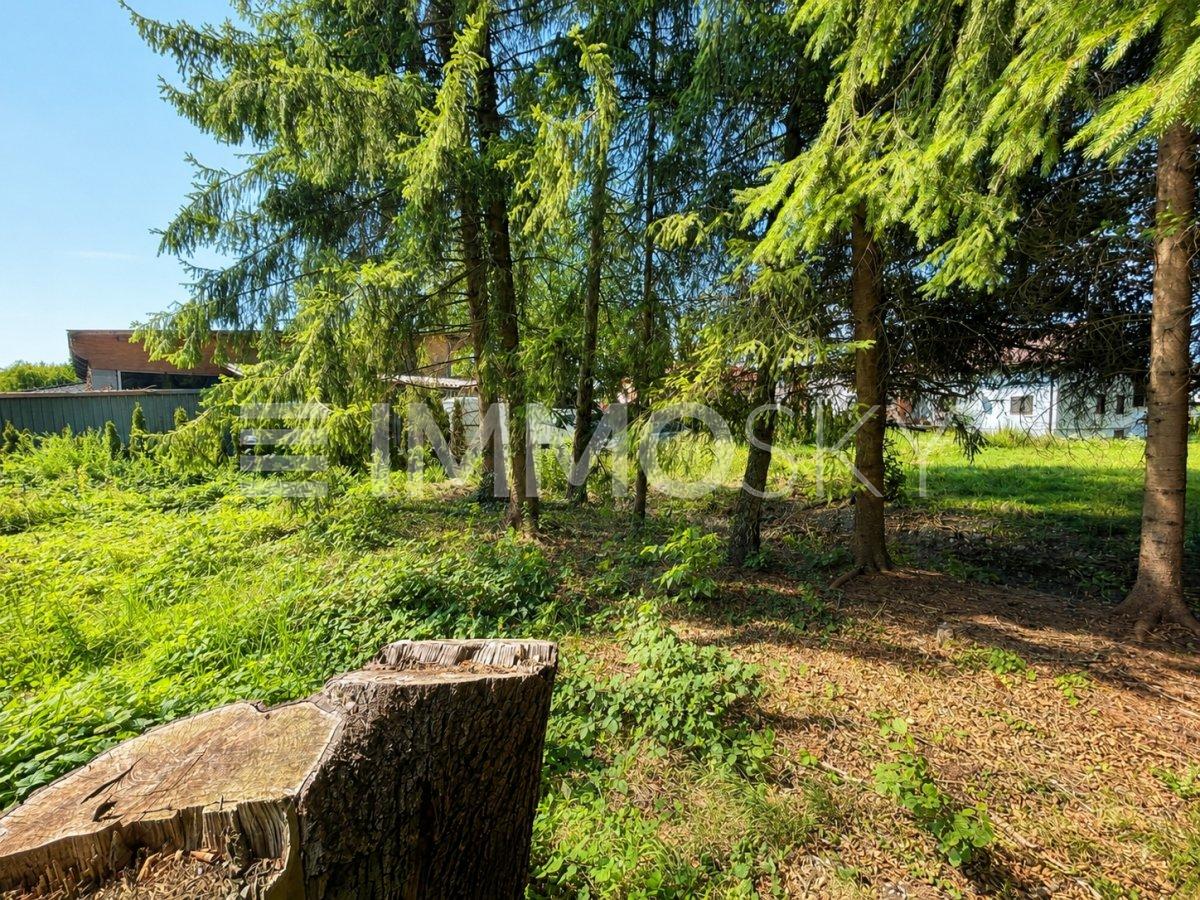 Naturgarten mit Baumbestand