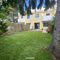 Garten mit neuem Gras